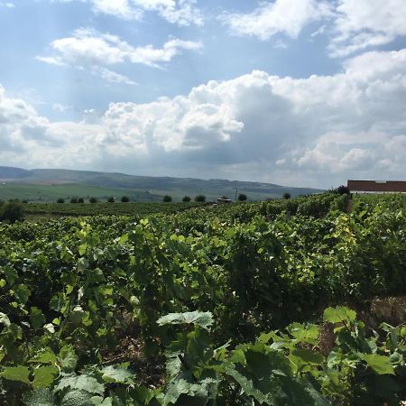 Wineyards Salin Bed and Breakfast Turda Exteriör bild