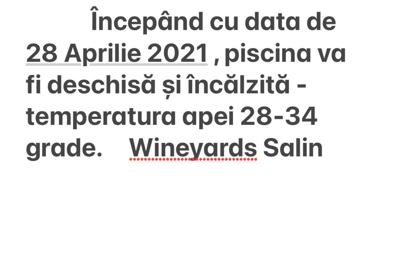 Wineyards Salin Bed and Breakfast Turda Exteriör bild