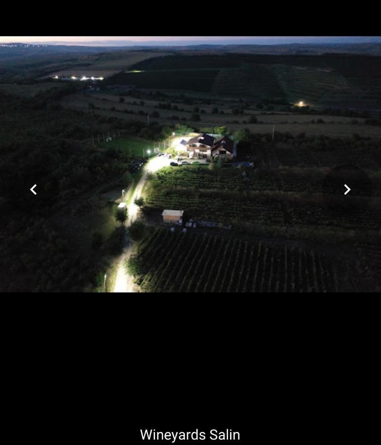 Wineyards Salin Bed and Breakfast Turda Exteriör bild