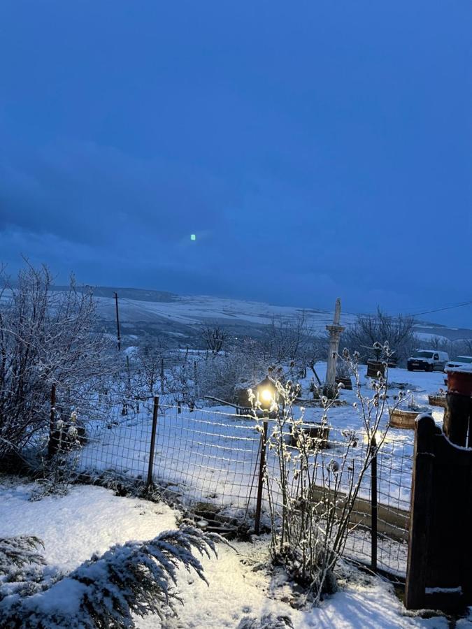 Wineyards Salin Bed and Breakfast Turda Exteriör bild