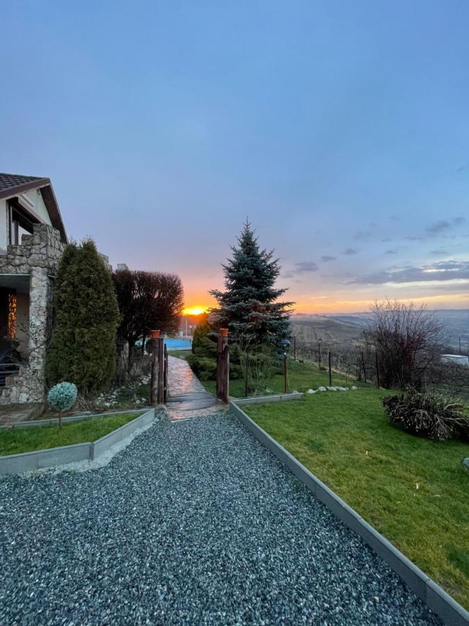 Wineyards Salin Bed and Breakfast Turda Exteriör bild