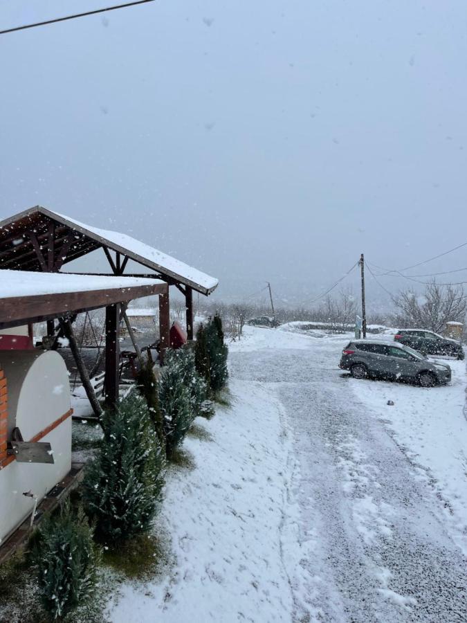 Wineyards Salin Bed and Breakfast Turda Exteriör bild