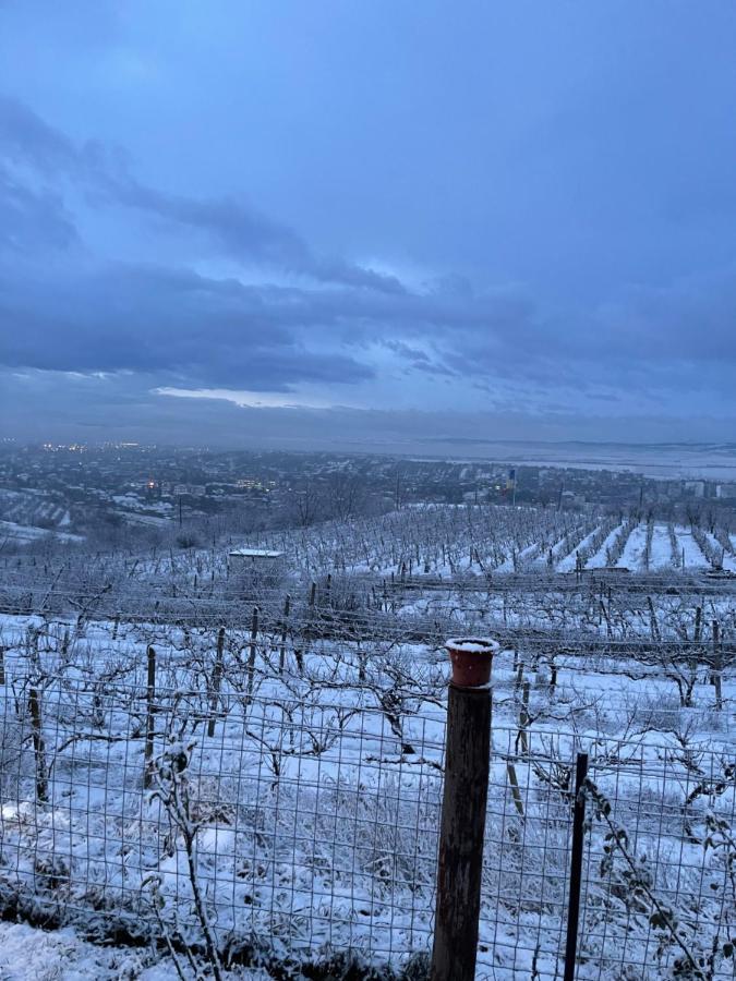Wineyards Salin Bed and Breakfast Turda Exteriör bild