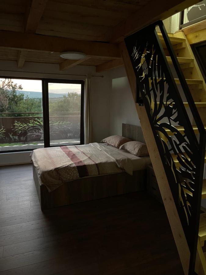 Wineyards Salin Bed and Breakfast Turda Exteriör bild